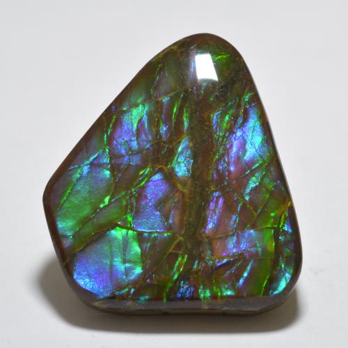 Ammolite Multicolore naturale da 18.85 ct, Forma fantasia, Opaco