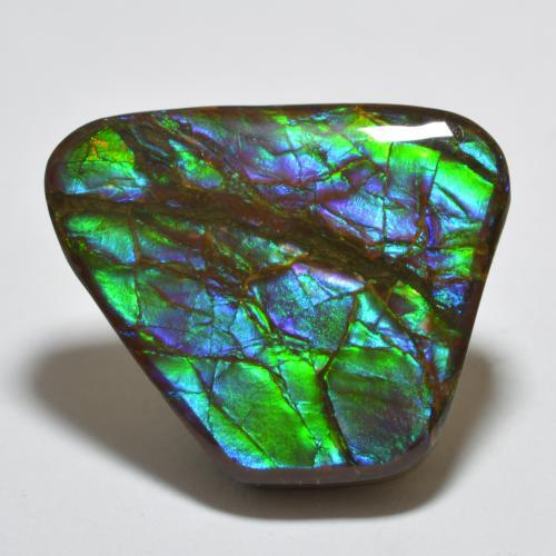 Ammolite Multicolore naturale da 18.85 ct, Forma fantasia, Opaco