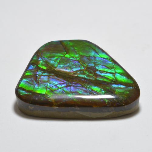 Ammolite Multicolore naturale da 18.85 ct, Forma fantasia, Opaco