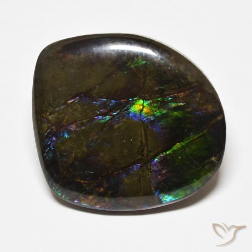 22.71ct Naturale Multicolore Ammolite, Taglio a fantasia, Opaco