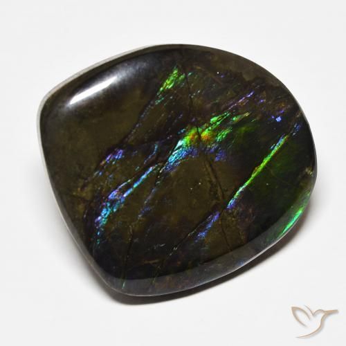 Ammolite Multicolore naturale da 22.71 ct, Taglio a fantasia, Opaco
