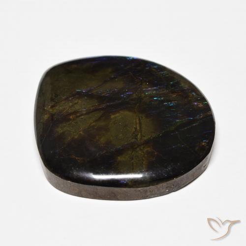Ammolite Multicolore naturale da 22.71 ct, Taglio a fantasia, Opaco