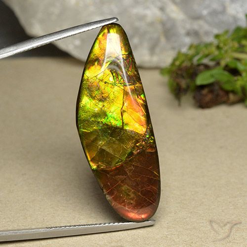 22.66ct Naturale Multicolore Ammolite, Taglio a fantasia, Opaco