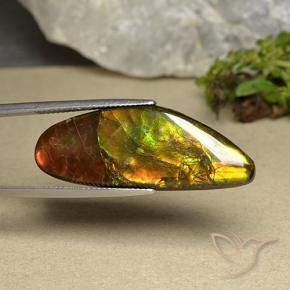 Ammolite Multicolore naturale da 22.66 ct, Taglio a fantasia, Opaco
