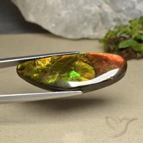 Ammolite Multicolore naturale da 22.66 ct, Taglio a fantasia, Opaco