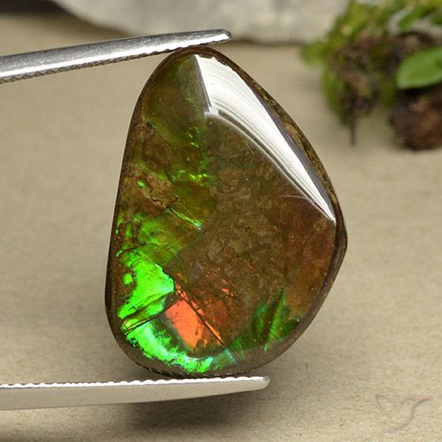 14.98ct Naturale Multicolore Ammolite, Taglio a fantasia, Opaco