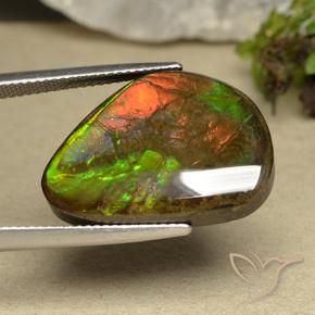 Ammolite Multicolore naturale da 14.98 ct, Taglio a fantasia, Opaco