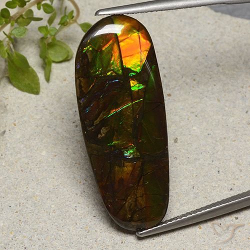 19.11ct Naturale Multicolore Ammolite, Taglio a fantasia, Opaco