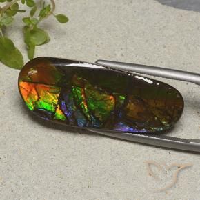 Ammolite Multicolore naturale da 19.11 ct, Taglio a fantasia, Opaco