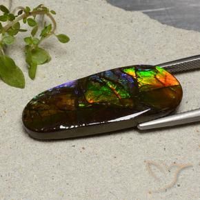 Ammolite Multicolore naturale da 19.11 ct, Taglio a fantasia, Opaco