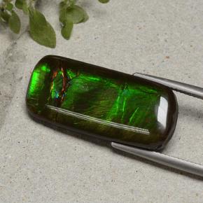 Ammolite Multicolore naturale da 18.74 ct, Taglio a cuscino, Opaco