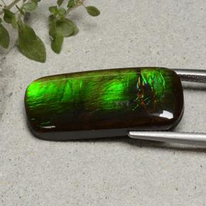 Ammolite Multicolore naturale da 18.74 ct, Taglio a cuscino, Opaco