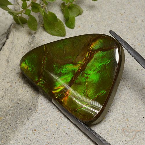 22.87ct Naturale Multicolore Ammolite, Taglio a fantasia, Opaco