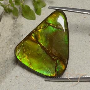 Ammolite Multicolore naturale da 22.87 ct, Taglio a fantasia, Opaco