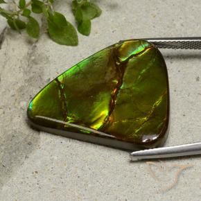 Ammolite Multicolore naturale da 22.87 ct, Taglio a fantasia, Opaco