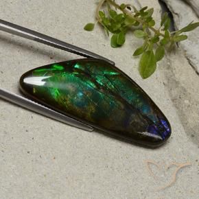 Ammolite Multicolore naturale da 22.28 ct, Taglio a fantasia, Opaco