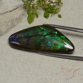 Ammolite Multicolore naturale da 22.28 ct, Taglio a fantasia, Opaco