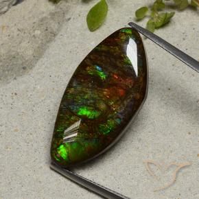 Ammolite Multicolore naturale da 20.58 ct, Taglio a fantasia, Opaco
