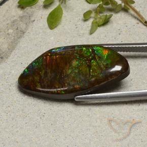 Ammolite Multicolore naturale da 20.58 ct, Taglio a fantasia, Opaco