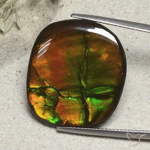 21.57ct Naturale Multicolore Ammolite, Cuscino, Opaco