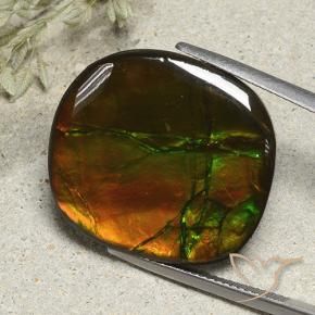 Ammolite Multicolore naturale da 21.57 ct, Cuscino, Opaco