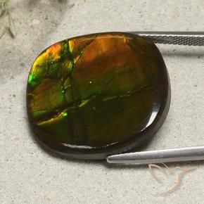 Ammolite Multicolore naturale da 21.57 ct, Cuscino, Opaco
