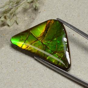 Ammolite Multicolore naturale da 16.82 ct, Forma fantasia, Opaco