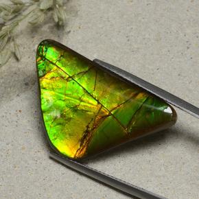 Ammolite Multicolore naturale da 16.82 ct, Forma fantasia, Opaco