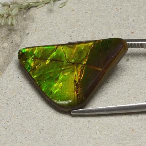 Ammolite Multicolore naturale da 16.82 ct, Forma fantasia, Opaco