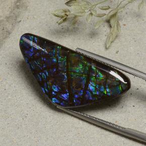 Ammolite naturale multicolore da 19,94 ct, forma fantasia, opaco