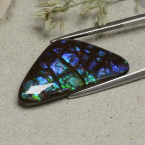 Ammolite naturale multicolore da 19,94 ct, forma fantasia, opaco