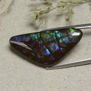 Ammolite naturale multicolore da 19,94 ct, forma fantasia, opaco