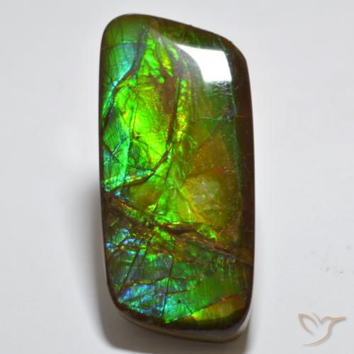 23.38ct Naturale Multicolore Ammolite, Taglio a fantasia, Opaco