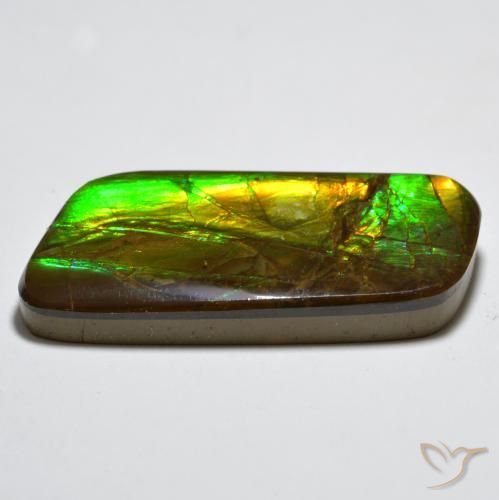 Ammolite Multicolore naturale da 23.38 ct, Taglio a fantasia, Opaco