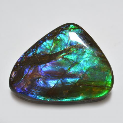 Ammolite naturale multicolore da 22,91 ct, forma fantasia, opaco