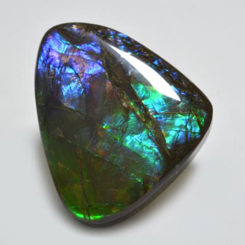 Ammolite naturale multicolore da 22,91 ct, forma fantasia, opaco