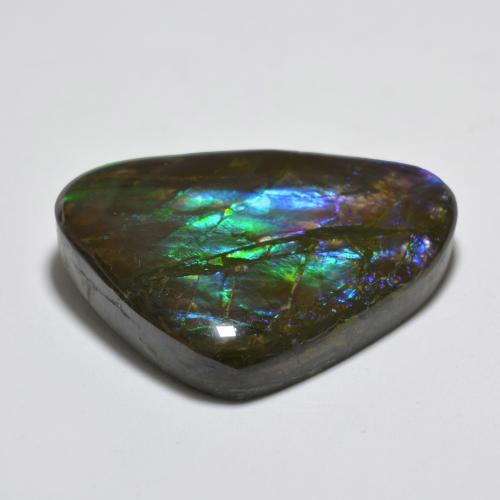 Ammolite naturale multicolore da 22,91 ct, forma fantasia, opaco