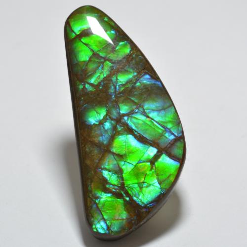 Ammolite Multicolore naturale da 20.99 ct, Forma fantasia, Opaco