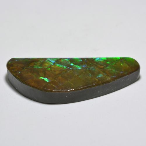 Ammolite Multicolore naturale da 20.99 ct, Forma fantasia, Opaco