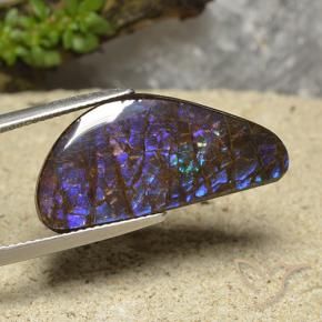 Ammolite Multicolore naturale da 15.94 ct, Taglio a fantasia, Opaco