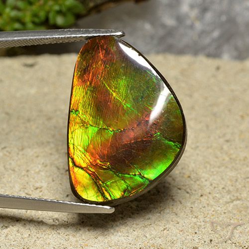 18.57ct Naturale Multicolore Ammolite, Taglio a fantasia, Opaco