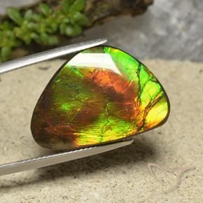 Ammolite Multicolore naturale da 18.57 ct, Taglio a fantasia, Opaco