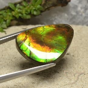 Ammolite Multicolore naturale da 18.57 ct, Taglio a fantasia, Opaco