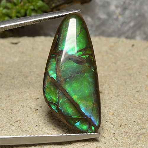15.08ct Naturale Multicolore Ammolite, Taglio a fantasia, Opaco