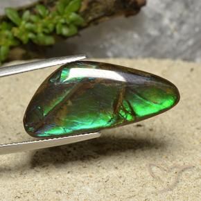 Ammolite Multicolore naturale da 15.08 ct, Taglio a fantasia, Opaco