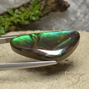 Ammolite Multicolore naturale da 15.08 ct, Taglio a fantasia, Opaco