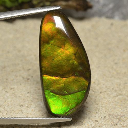 17.01ct Naturale Multicolore Ammolite, Taglio a fantasia, Opaco