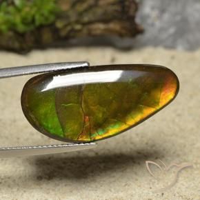Ammolite Multicolore naturale da 17.01 ct, Taglio a fantasia, Opaco
