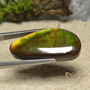 Ammolite Multicolore naturale da 17.01 ct, Taglio a fantasia, Opaco