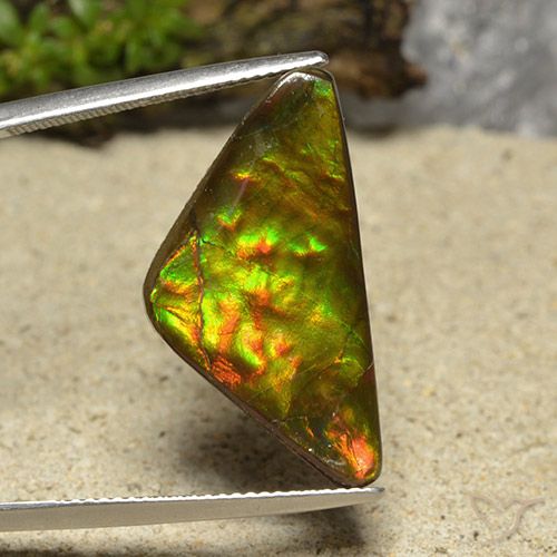 12.19ct Naturale Multicolore Ammolite, Taglio trillion, Opaco